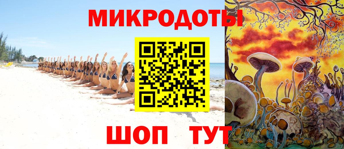 Галлюциногенные грибы Psilocybe  Вход с VPN  Курчалой  Галлюциногенные грибы GOLDEN TEACHER 